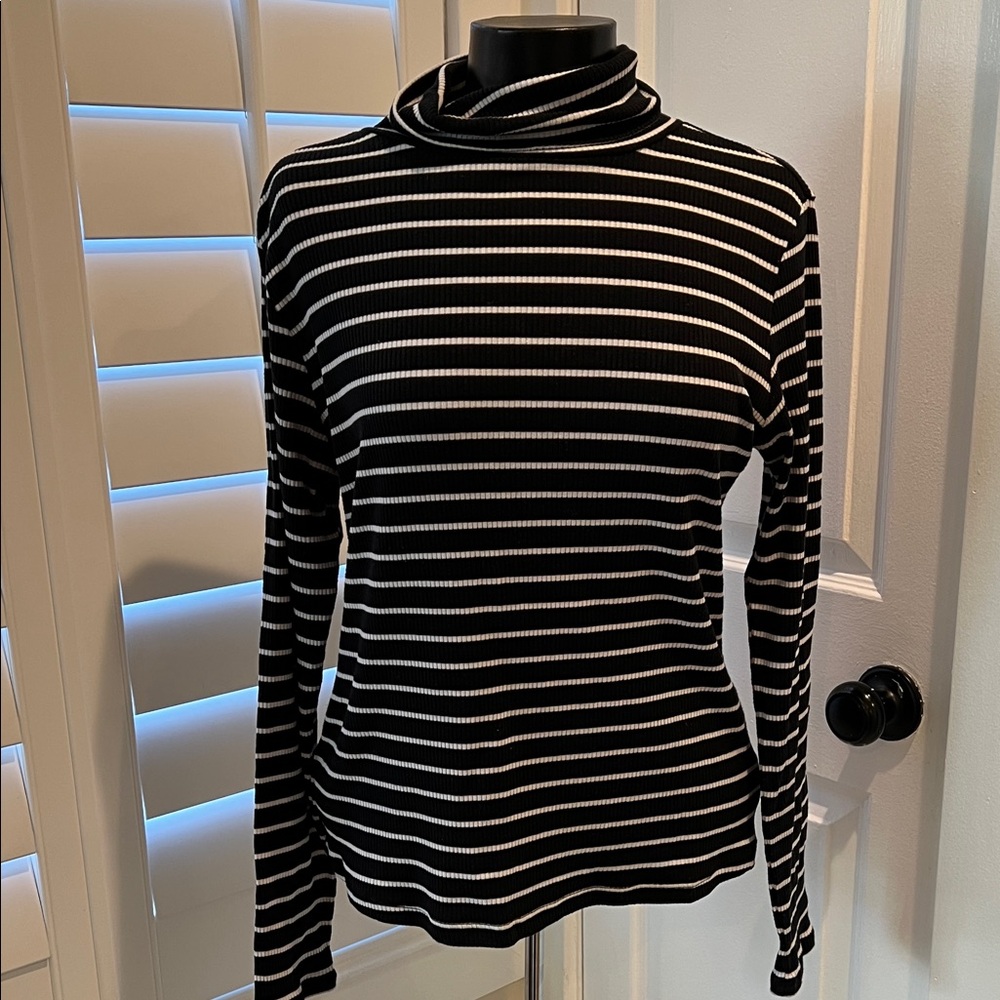 Black & White Ribbed Striped Turtleneck Longsleeve